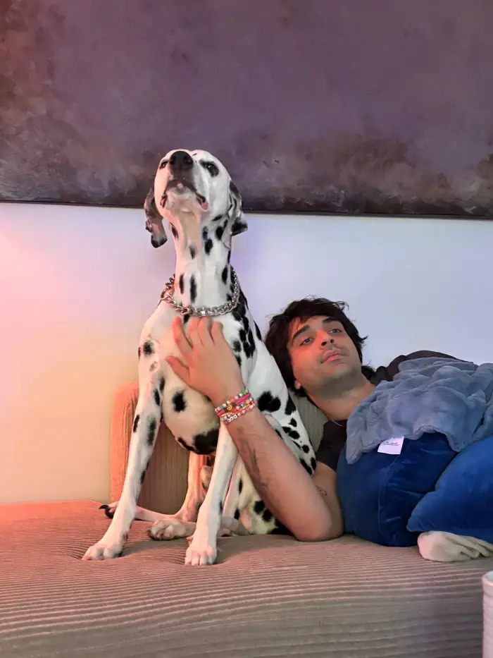 a dalmatian sitting upright on the couch while thomas lies behind it in pink lamplight